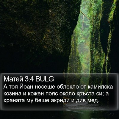 Матей 3:4 BULG Bible Verse Image