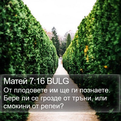 Матей 7:16 BULG Bible Verse Image