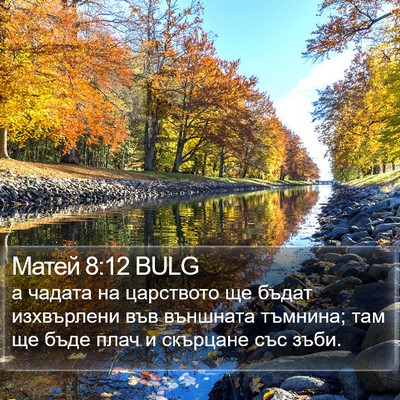 Матей 8:12 BULG Bible Verse Image