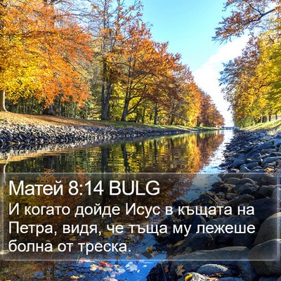 Матей 8:14 BULG Bible Verse Image