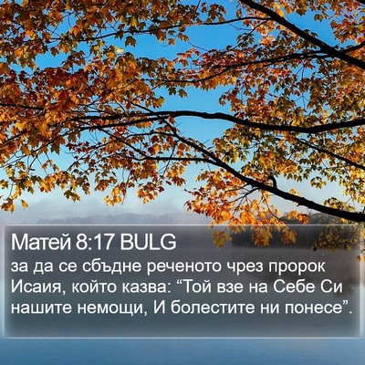 Матей 8:17 BULG Bible Verse Image