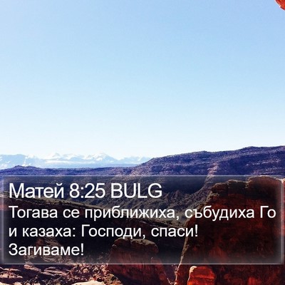 Матей 8:25 BULG Bible Verse Image