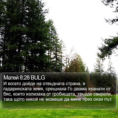Матей 8:28 BULG Bible Verse Image
