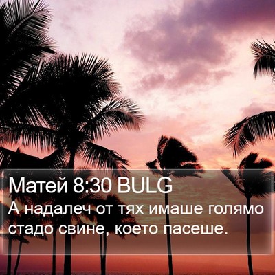 Матей 8:30 BULG Bible Verse Image