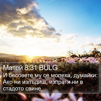 Матей 8:31 BULG Bible Verse Image