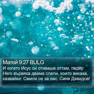 Матей 9:27 BULG Bible Verse Image