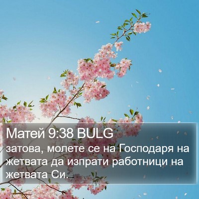 Матей 9:38 BULG Bible Verse Image
