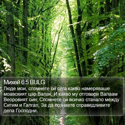 Михей 6:5 BULG Bible Verse Image