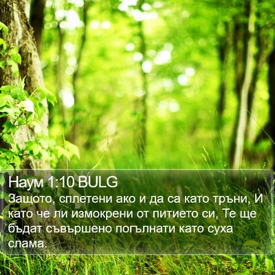 Наум 1:10 BULG Bible Verse Image