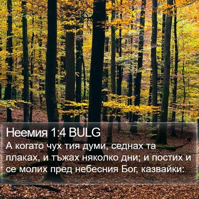 Неемия 1:4 BULG Bible Verse Image