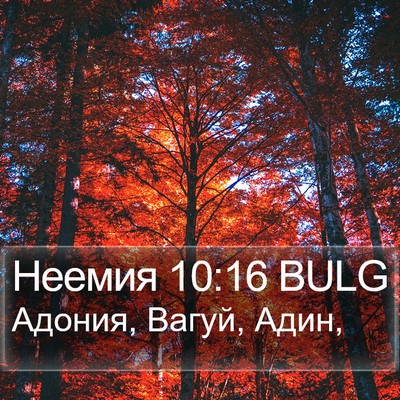 Неемия 10:16 BULG Bible Verse Image