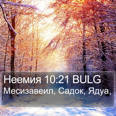 Неемия 10:21 BULG Bible Verse Image