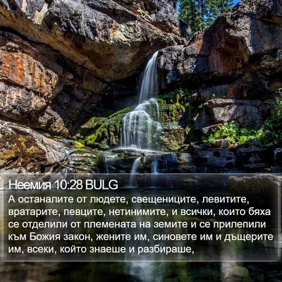 Неемия 10:28 BULG Bible Verse Image