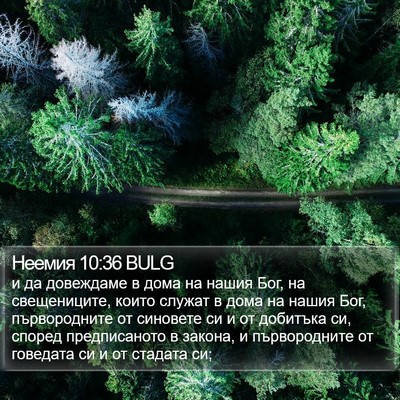 Неемия 10:36 BULG Bible Verse Image