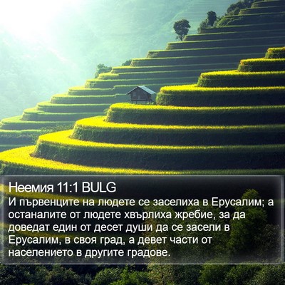Неемия 11:1 BULG Bible Verse Image
