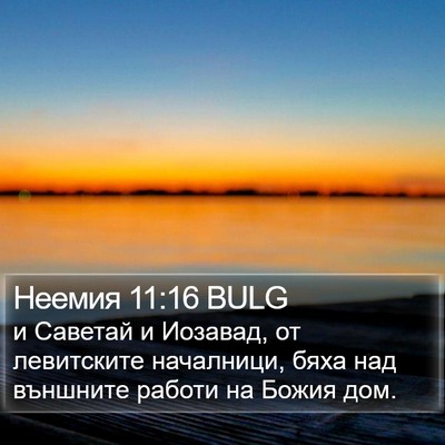 Неемия 11:16 BULG Bible Verse Image