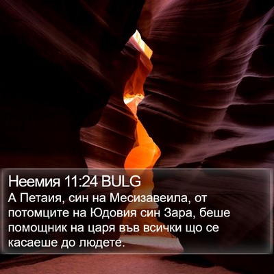 Неемия 11:24 BULG Bible Verse Image