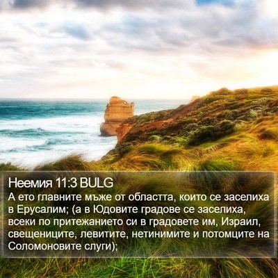 Неемия 11:3 BULG Bible Verse Image