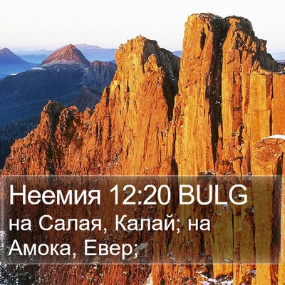 Неемия 12:20 BULG Bible Verse Image