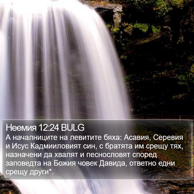 Неемия 12:24 BULG Bible Verse Image
