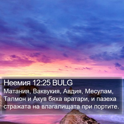 Неемия 12:25 BULG Bible Verse Image