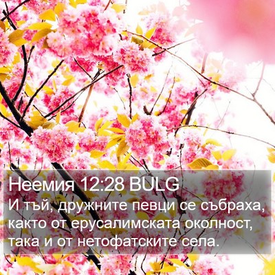 Неемия 12:28 BULG Bible Verse Image