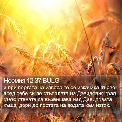Неемия 12:37 BULG Bible Verse Image