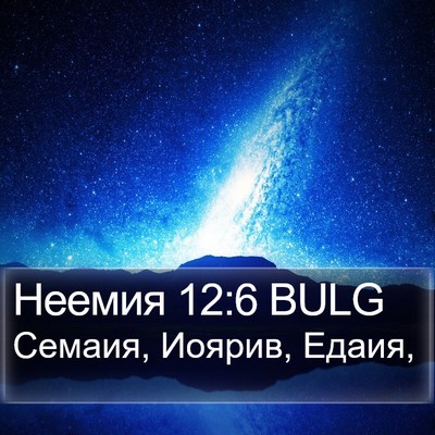 Неемия 12:6 BULG Bible Verse Image