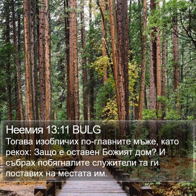 Неемия 13:11 BULG Bible Verse Image
