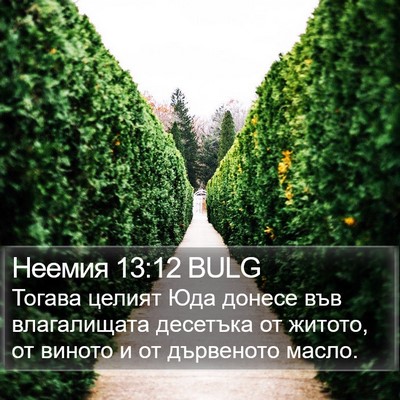 Неемия 13:12 BULG Bible Verse Image