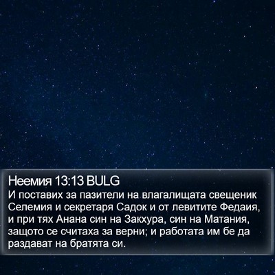 Неемия 13:13 BULG Bible Verse Image