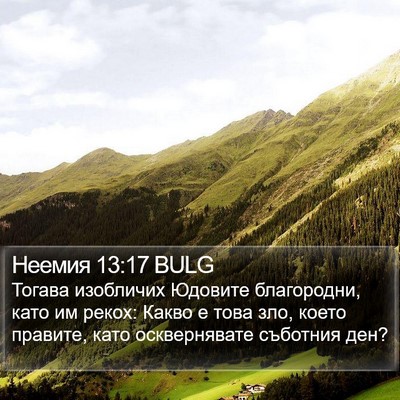 Неемия 13:17 BULG Bible Verse Image