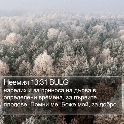 Неемия 13:31 BULG Bible Verse Image