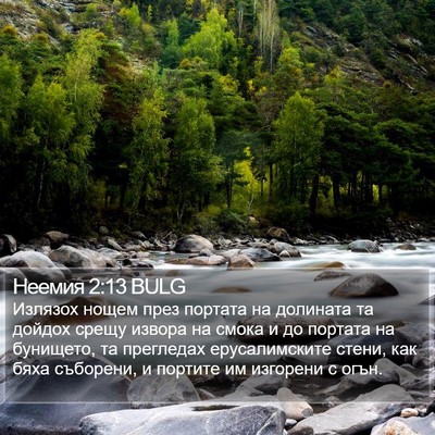 Неемия 2:13 BULG Bible Verse Image