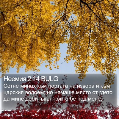 Неемия 2:14 BULG Bible Verse Image
