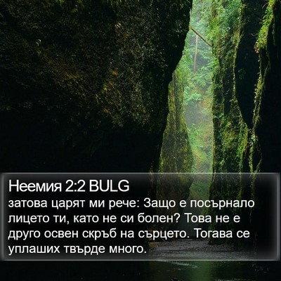 Неемия 2:2 BULG Bible Verse Image