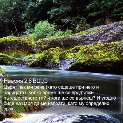 Неемия 2:6 BULG Bible Verse Image