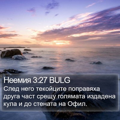 Неемия 3:27 BULG Bible Verse Image