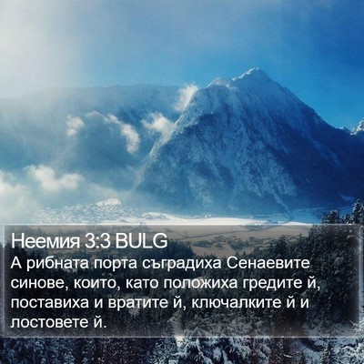 Неемия 3:3 BULG Bible Verse Image