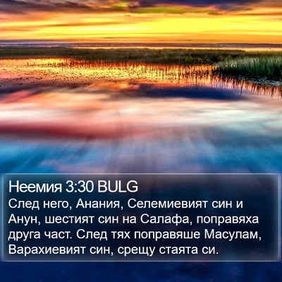 Неемия 3:30 BULG Bible Verse Image
