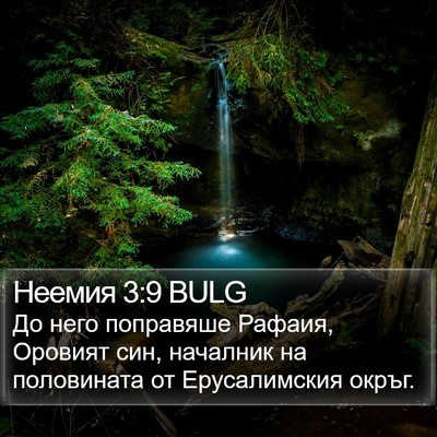 Неемия 3:9 BULG Bible Verse Image