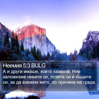 Неемия 5:3 BULG Bible Verse Image