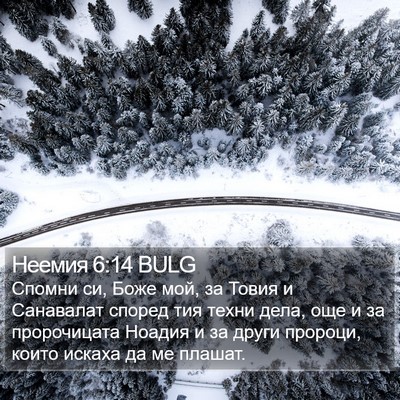 Неемия 6:14 BULG Bible Verse Image