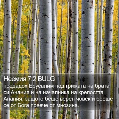 Неемия 7:2 BULG Bible Verse Image