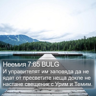 Неемия 7:65 BULG Bible Verse Image