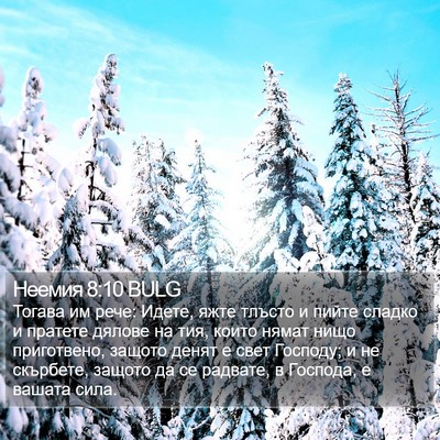 Неемия 8:10 BULG Bible Verse Image