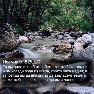 Неемия 9:15 BULG Bible Verse Image