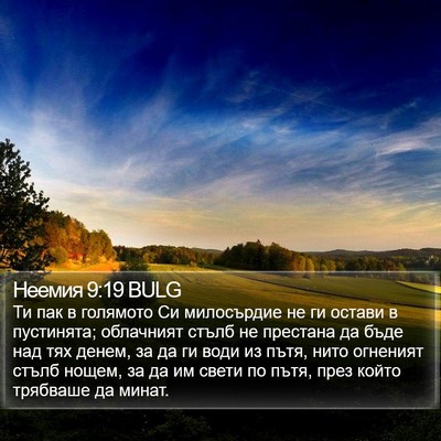 Неемия 9:19 BULG Bible Verse Image