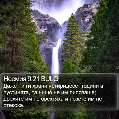Неемия 9:21 BULG Bible Verse Image