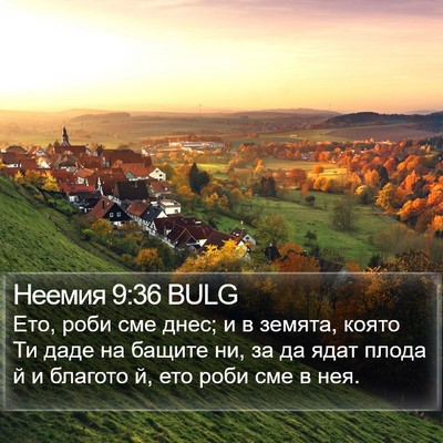 Неемия 9:36 BULG Bible Verse Image